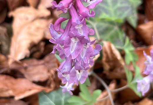 20220325073933-89d3fd12